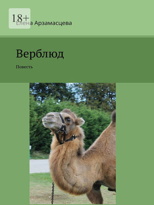 cover image of Верблюд. Повесть